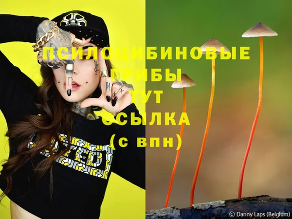 ПСИЛОЦИБИНОВЫЕ ГРИБЫ Зеленокумск