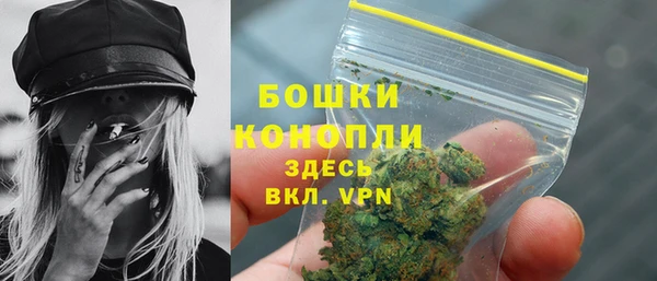 гашик Зерноград
